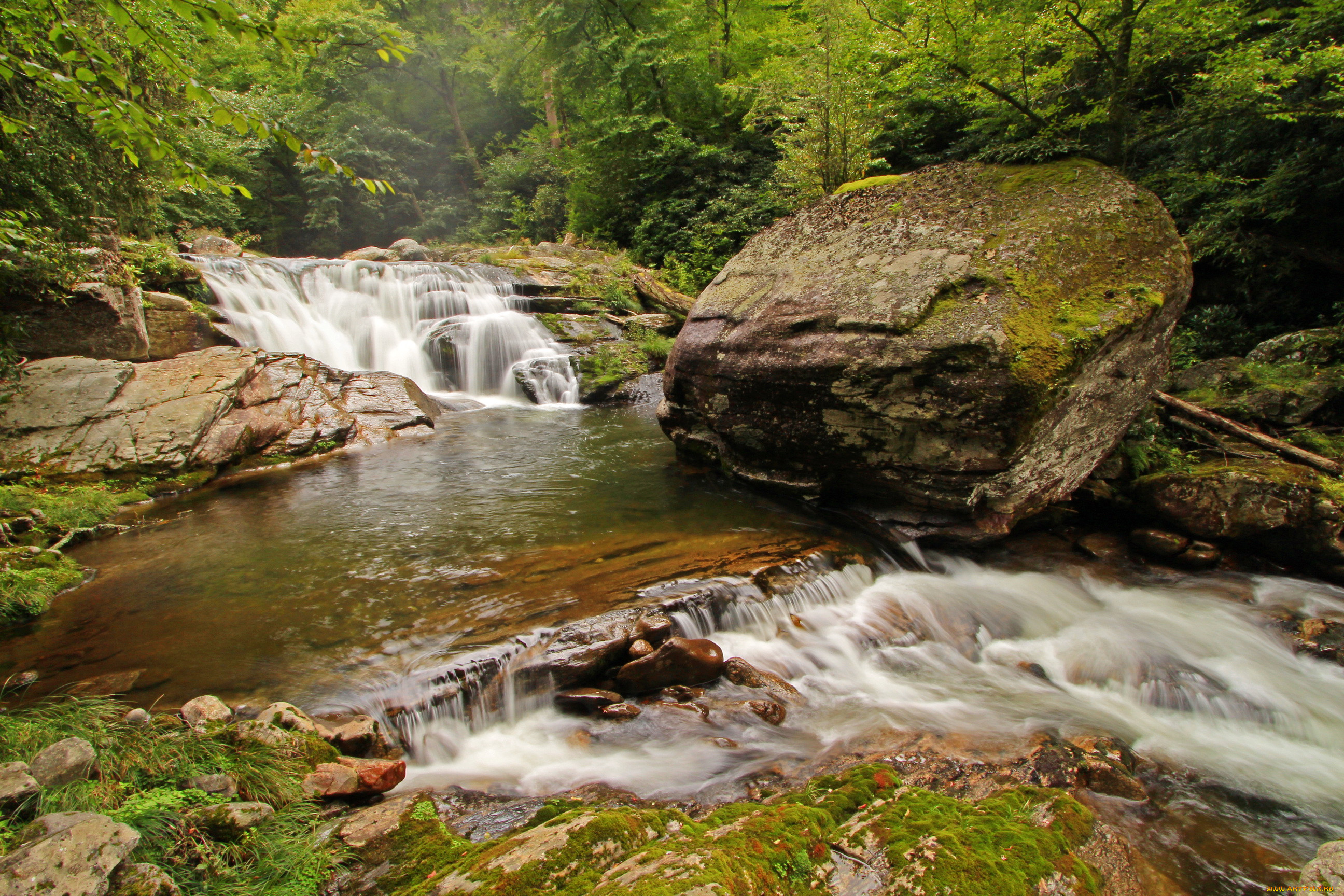 great smoky mountains national park, , , , , national, park, great, smoky, mountains